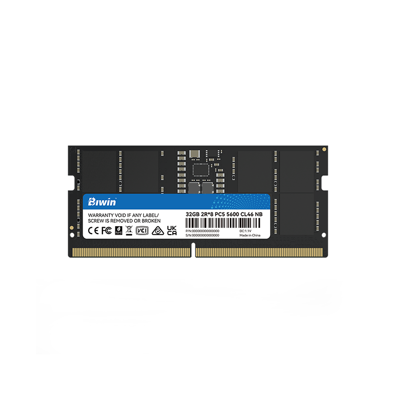 Biwin Memory & Storage