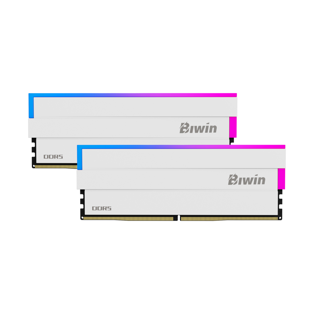 2-biwin-dw100-memory-white