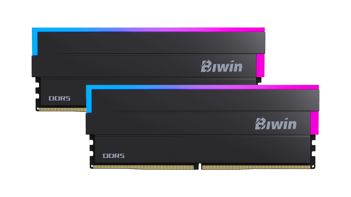 メモリー Biwin DW100 DDR5 6400MT/s Biwin DW100 DDR5 6400MT/s (PC5-51200) デスクトップPC用メモリ