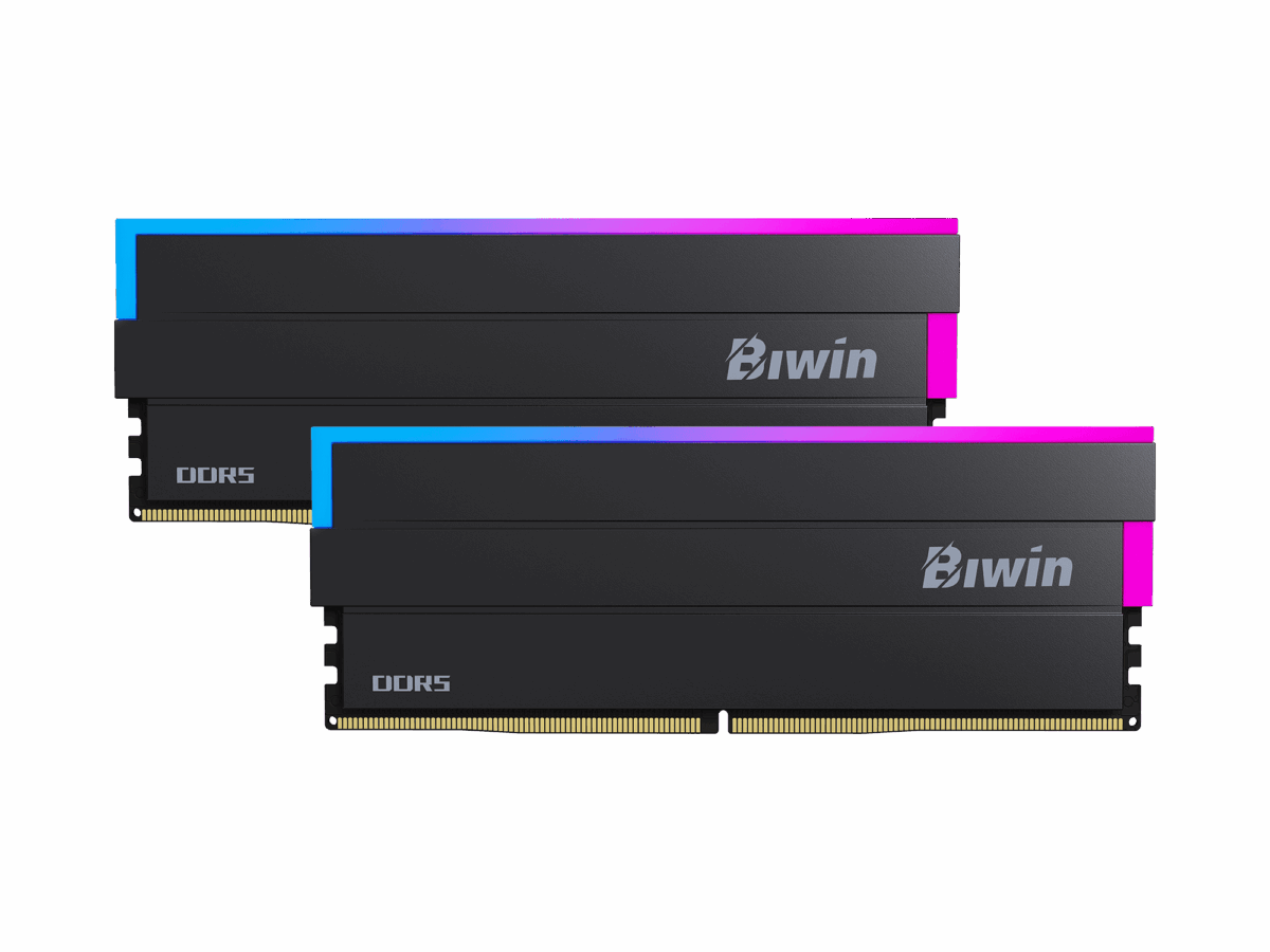 1-biwin-dw100-memory-black-1-