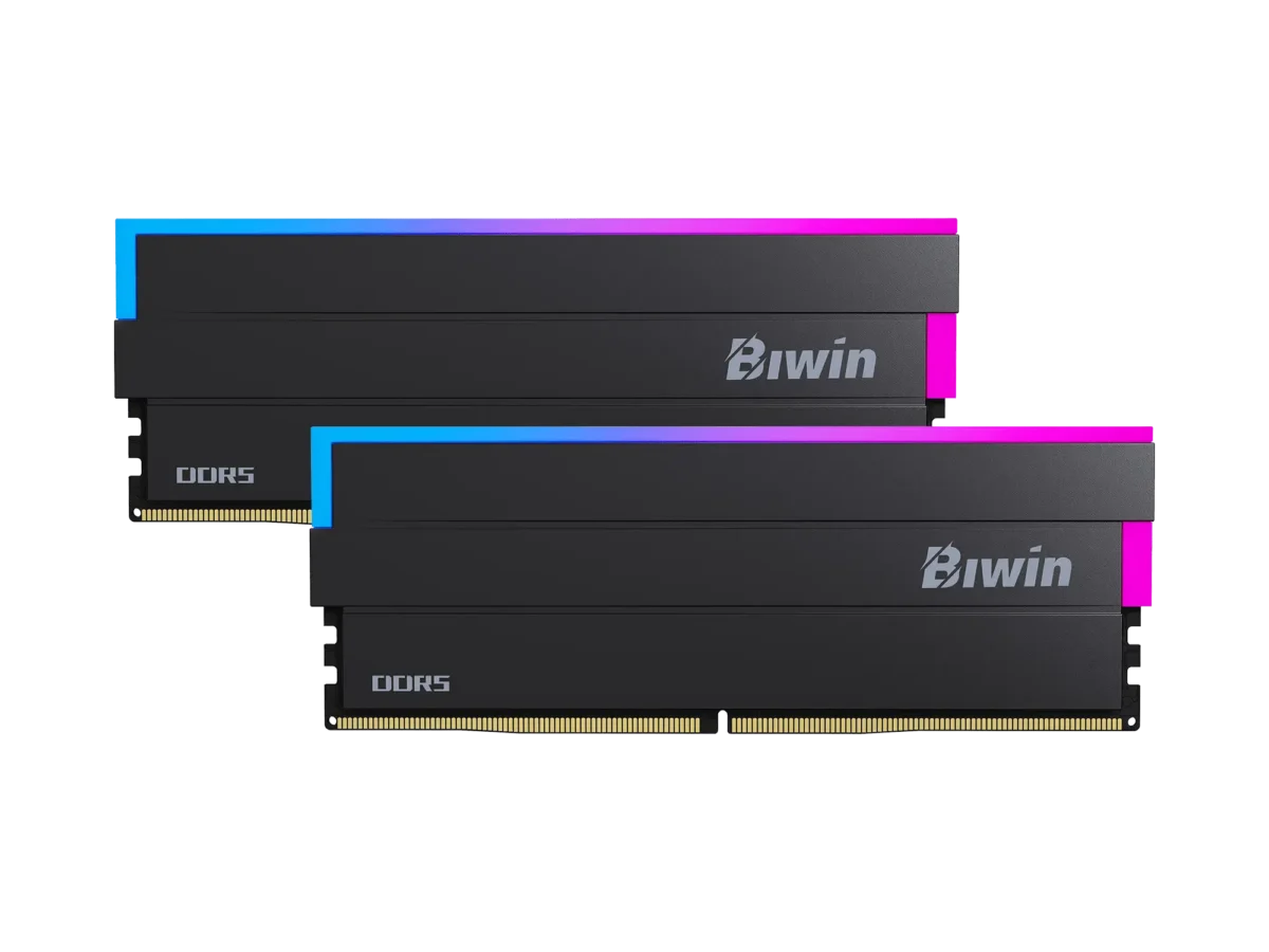 1-biwin-dw100-memory-black-1-
