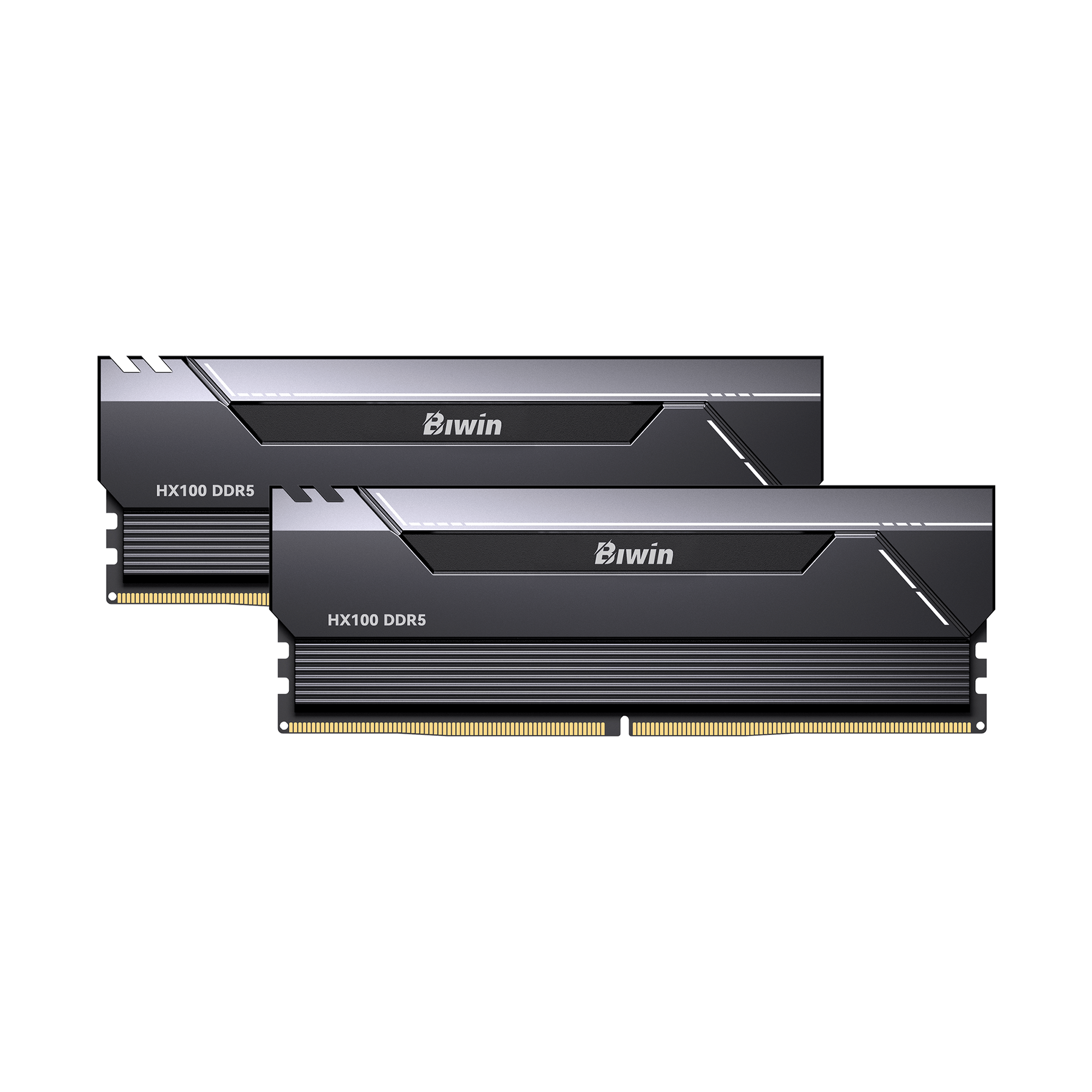 Biwin HX100 Memory