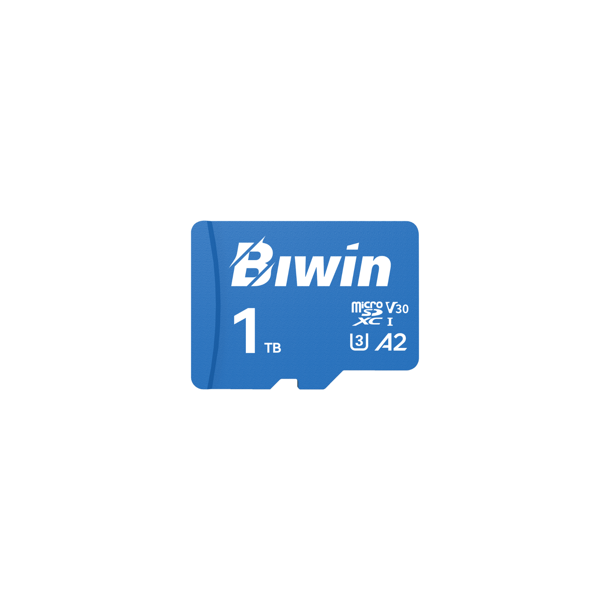 Biwin MS210 microSD Card