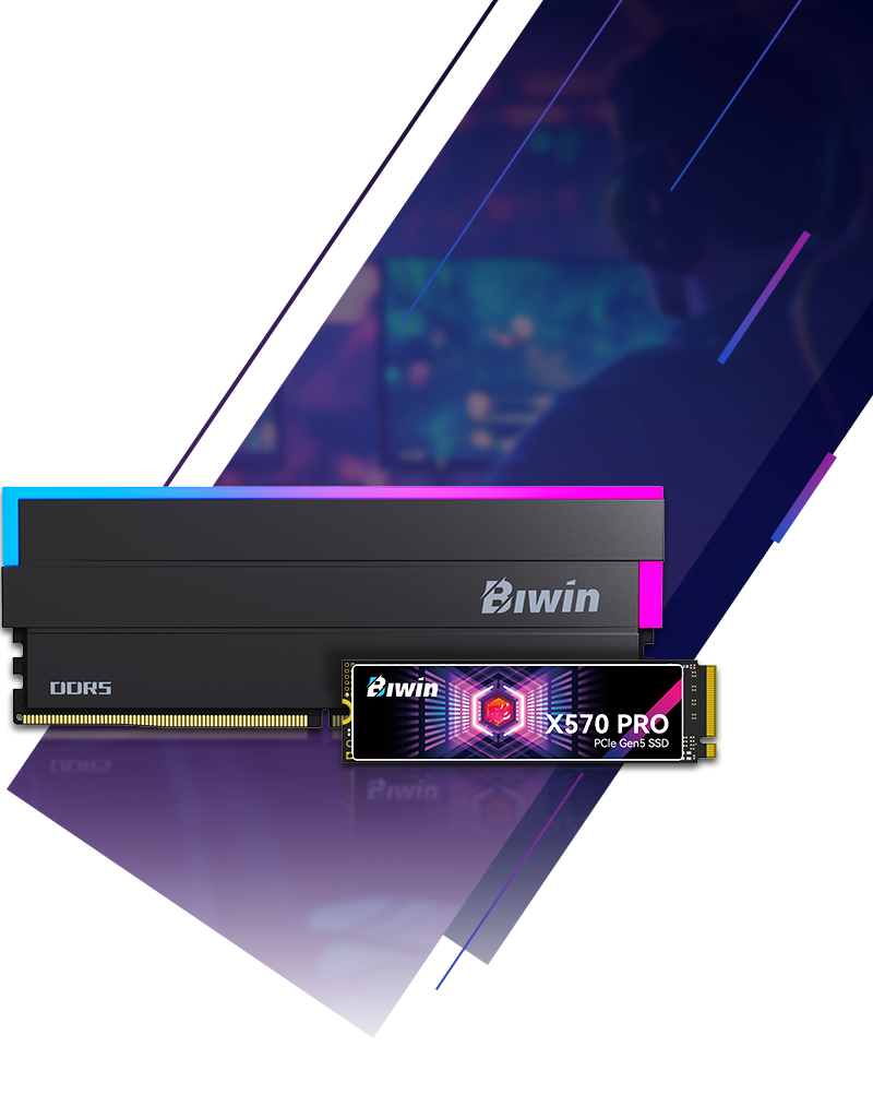 Biwin Black Opal Series