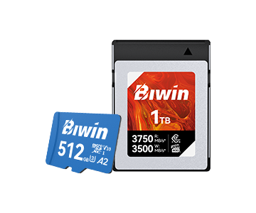 Memory Cards