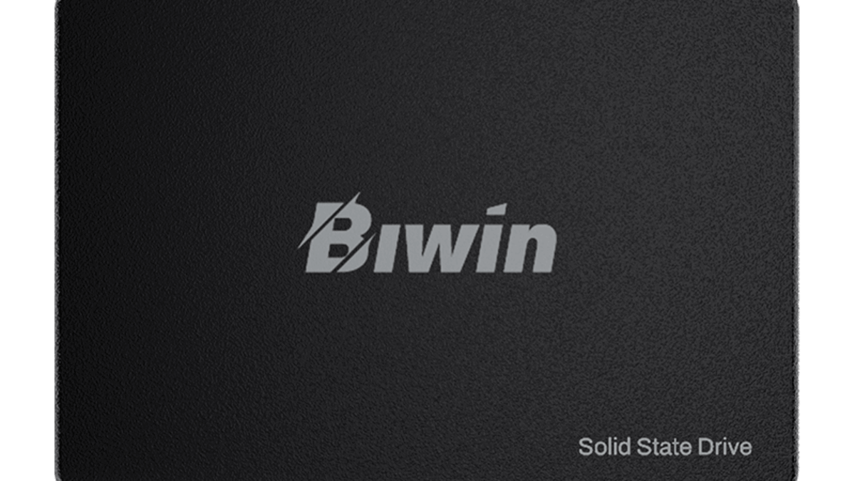 【未使用】Biwin M100 2TB SSD 2.5インチ SATA Biwin M100 2.5 Inch SATA 3 SSD