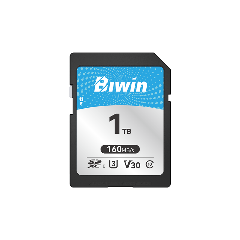 Biwin SD160 SD Card