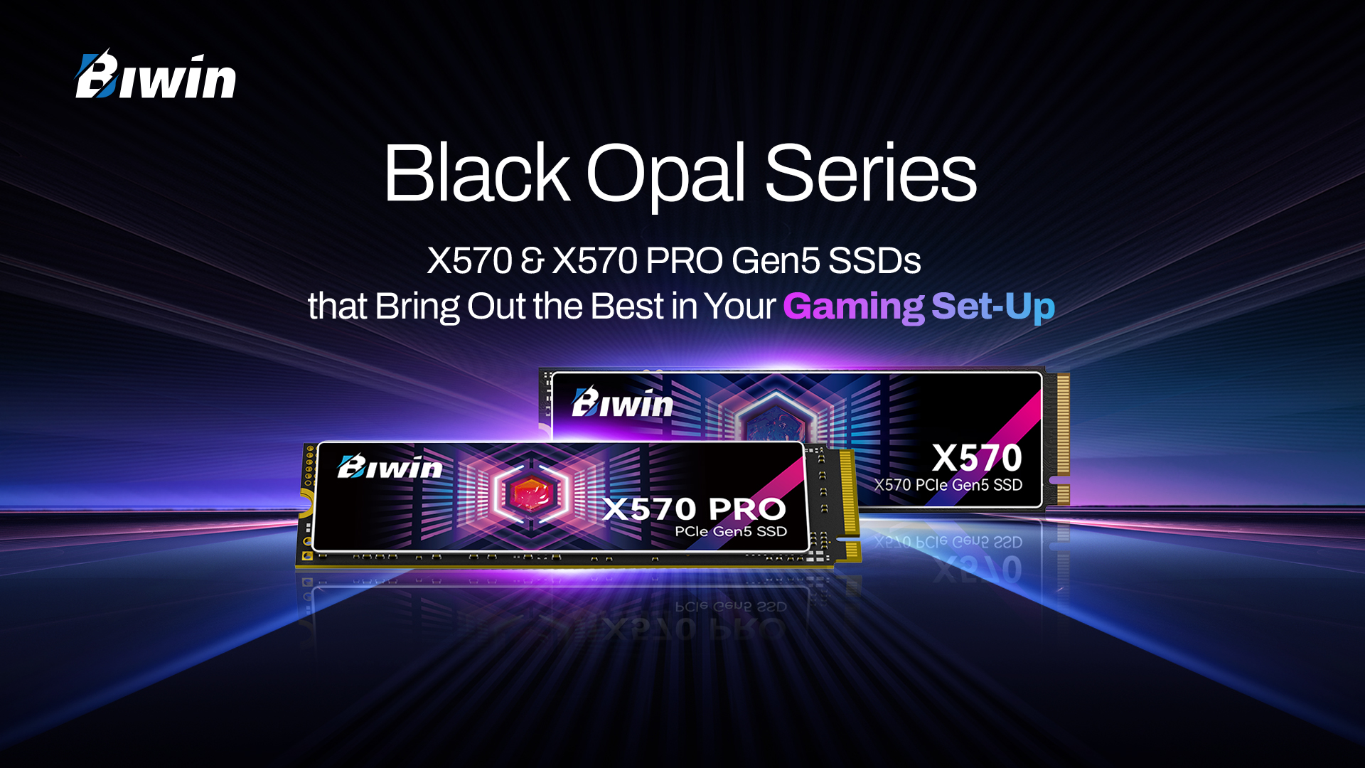Biwin Black Opal X570 PRO & X570