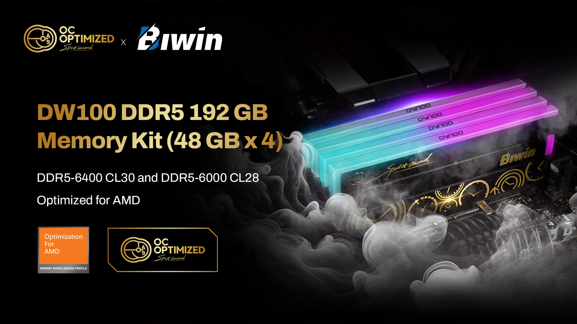 Biwin Black Opal OC Lab Gold Edition DW100 192 GB Memory Kit