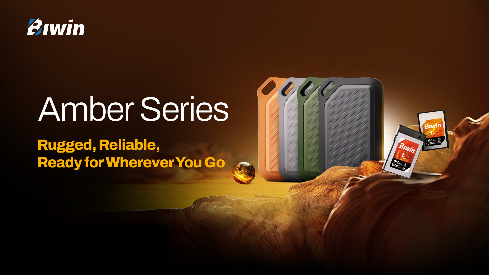 Biwin Amber Product Line Series