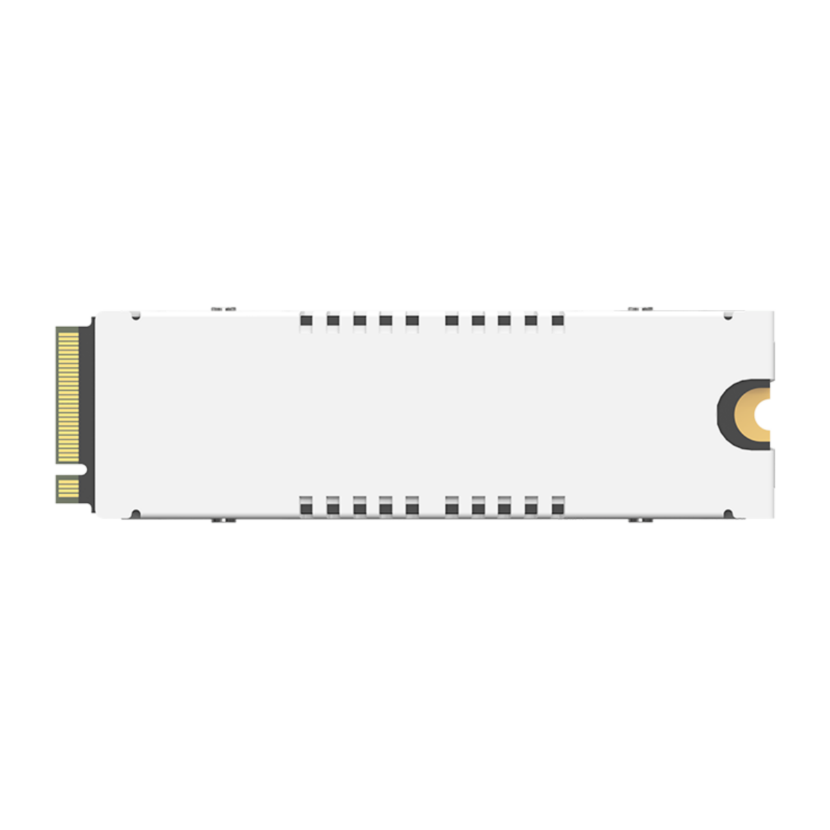 Back Side of Biwin Black Opal PCIe 5 SSD