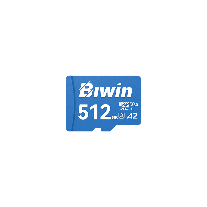 Biwin MS210 microSD Card