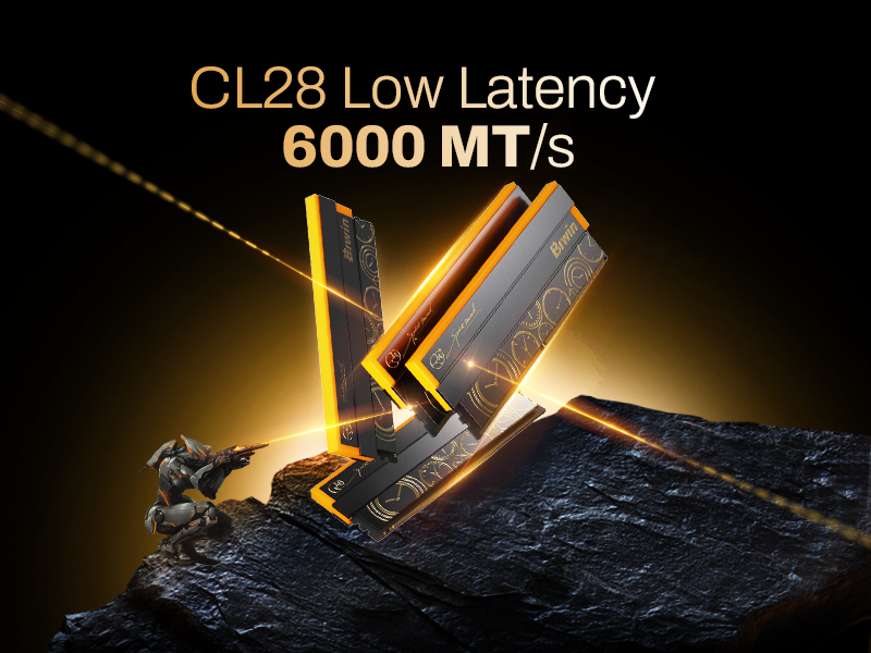 3-biwin-dw100-ddr5-192gb-memory-kit-with-low-cl28-latency