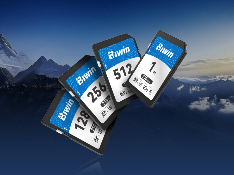 4-biwin-sd210-sd-memory-card-offers-multiple-capacity-options-up-to-1-tb
