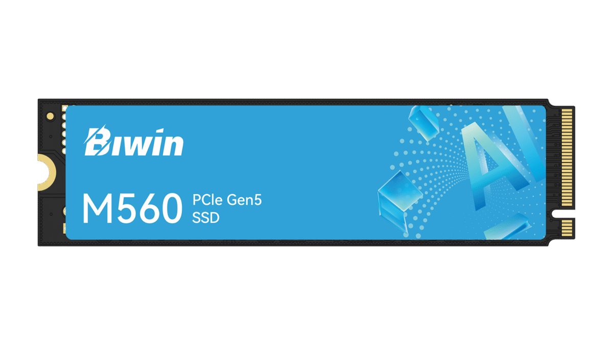 Biwin M560 PCIe 5.0 SSD | Gen 5 SSD High Performance
